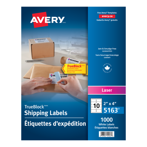 5163 WHITE, TRUEBLOCK, 4" X 2", PERMANENT,  100 SHEETS/BOX,